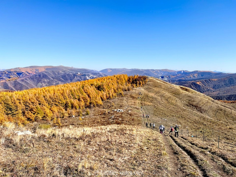 mmexport1697349123922_edit_223755296232523