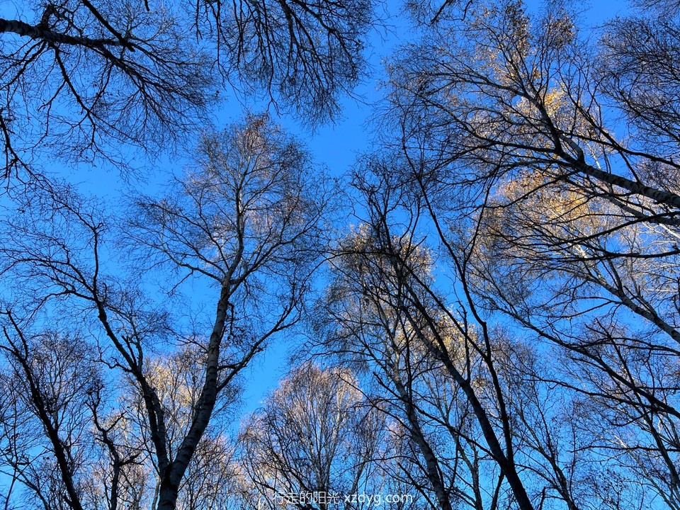 mmexport1697349102455_edit_223770029779916