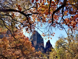 mmexport1697958676588_edit_550380538053517