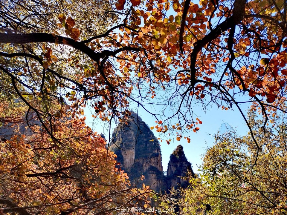 mmexport1697958676588_edit_550380538053517