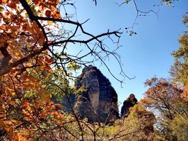 mmexport1697958667324_edit_550445205228507