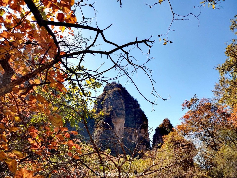 mmexport1697958667324_edit_550445205228507