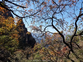 mmexport1697966077699_edit_549837023595267