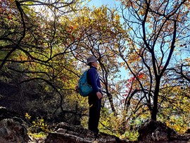 IMG_20231021_140037_edit_522170666567717