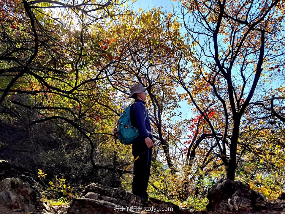 IMG_20231021_140037_edit_522170666567717