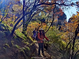 IMG_20231021_133648_edit_522110690728664