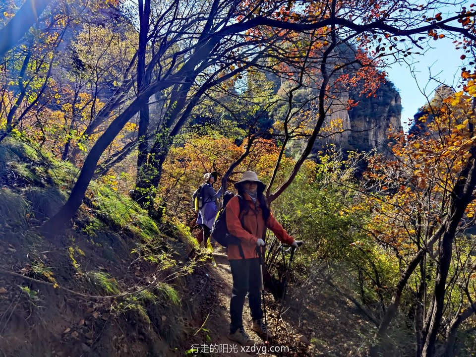 IMG_20231021_133648_edit_522110690728664