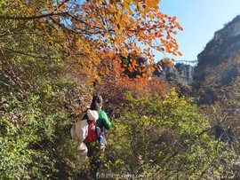 IMG_20231021_145427_edit_522055555618256