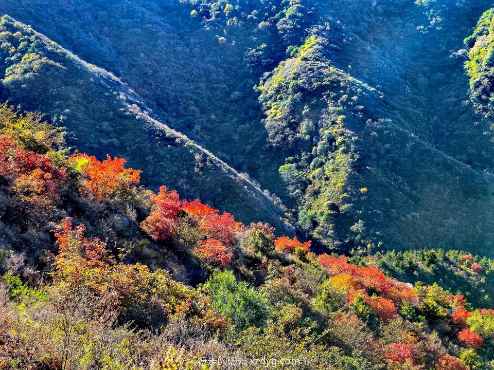 mmexport1698032820198_edit_573053284182349