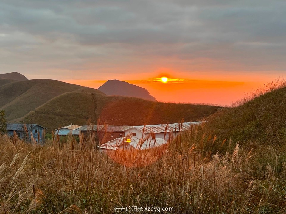 mmexport1698559449398