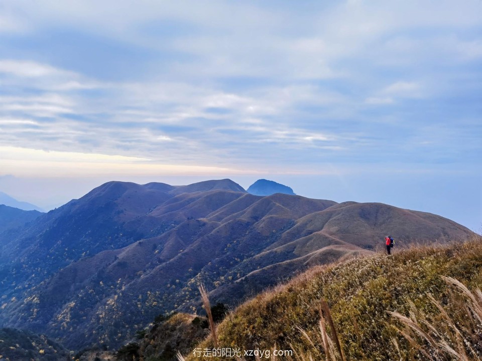 mmexport1698559505815