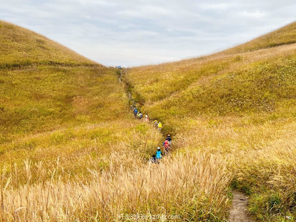 mmexport1698559513343