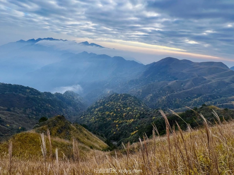 mmexport1698559538830