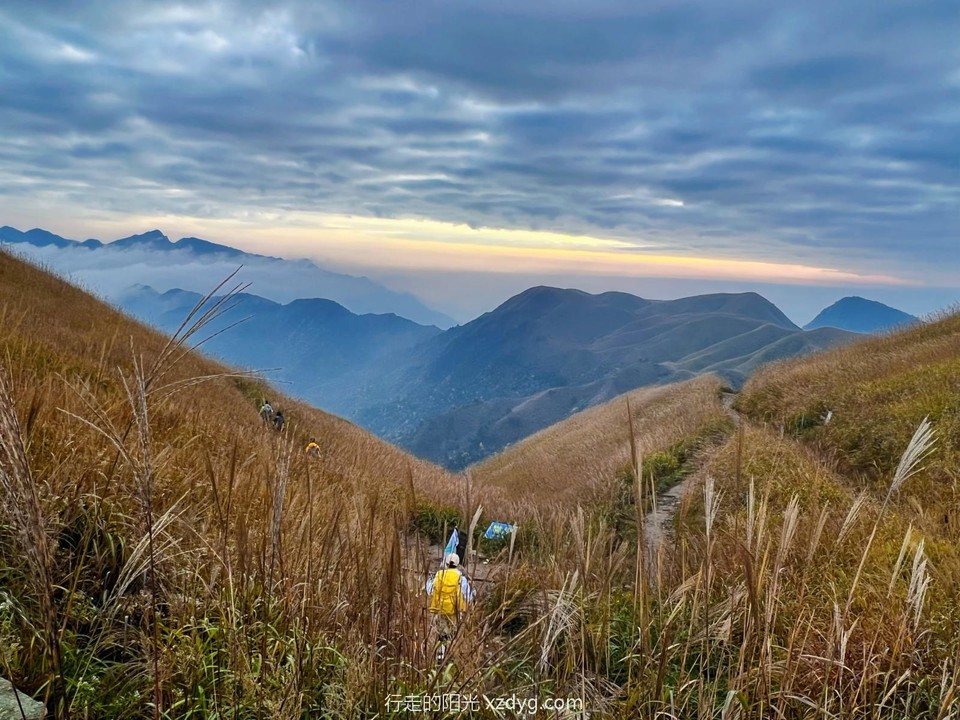 mmexport1698559520819