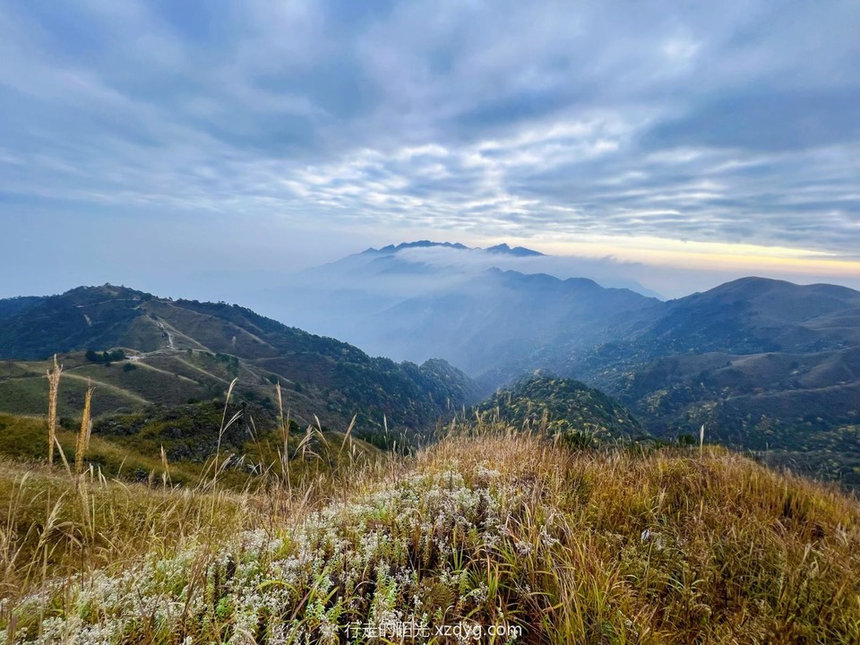 mmexport1698559546647