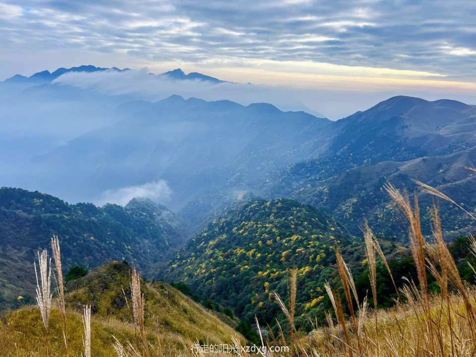 mmexport1698559554399