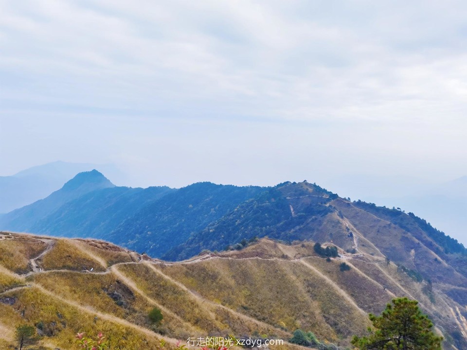 mmexport1698586720856