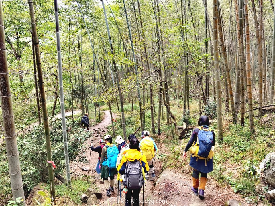 IMG_20231029_105452_edit_178947924023215