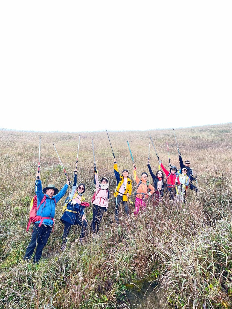 mmexport1698733642632_edit_242796935022847