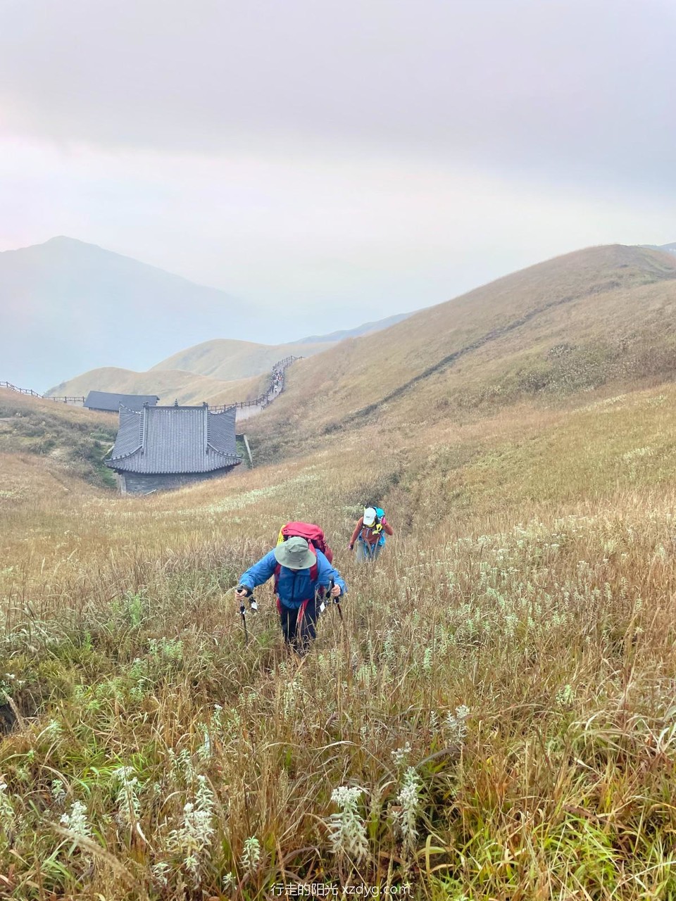 mmexport1698733272113_edit_242635759621830