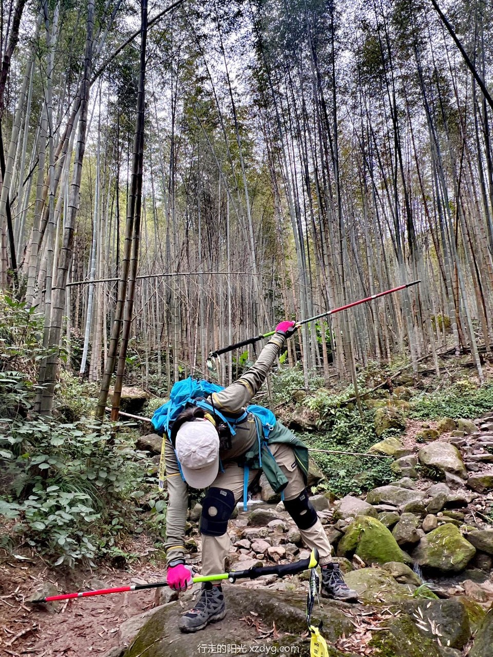 mmexport1698733555267_edit_242575863868714