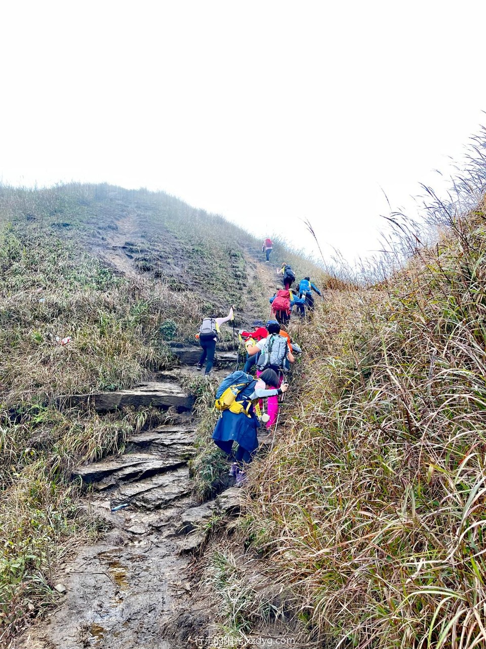 mmexport1698733583824_edit_242567514558820