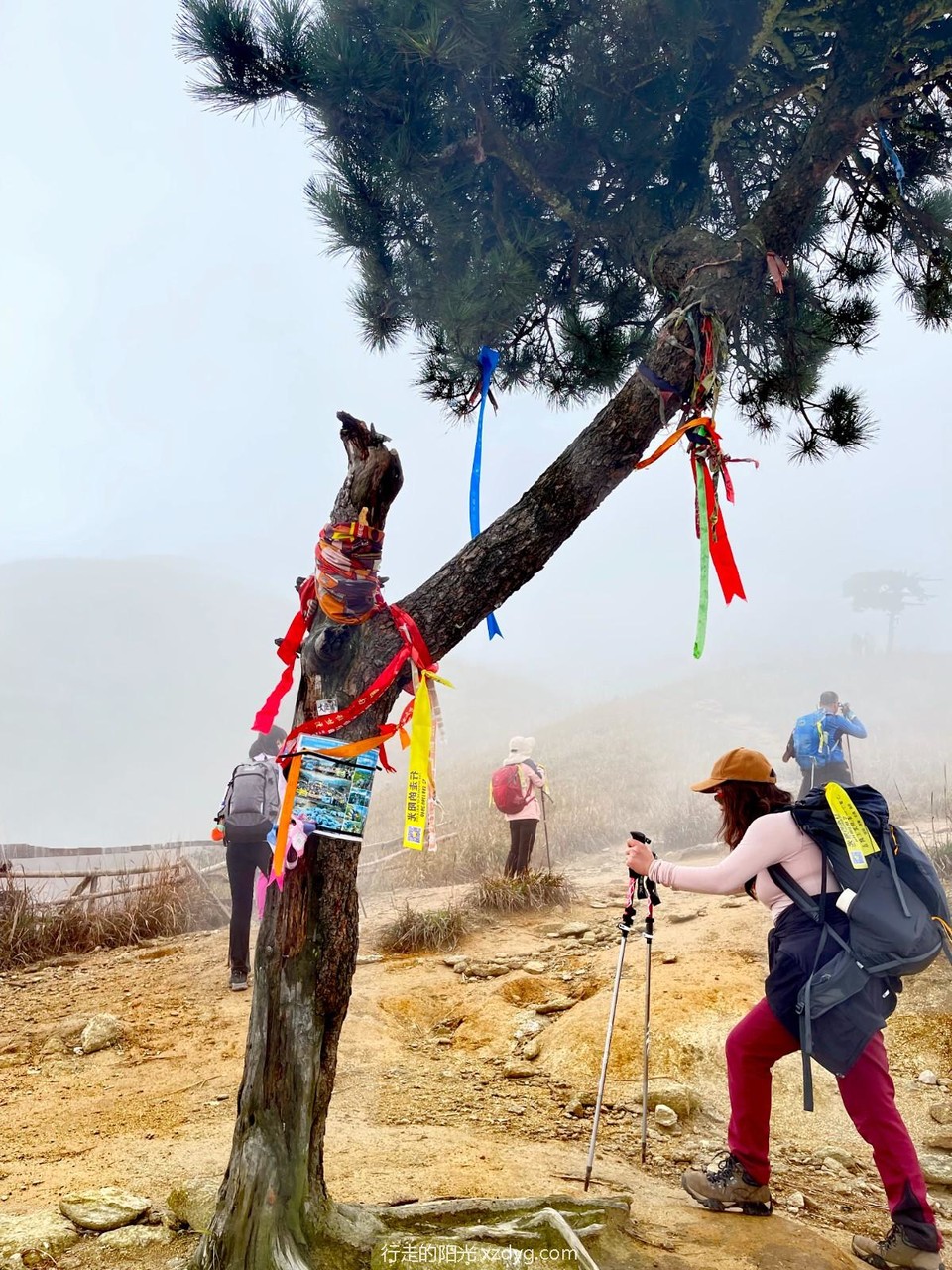 mmexport1698733597133_edit_242558479428613