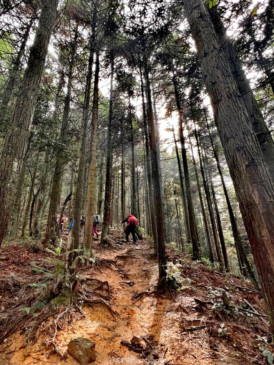 mmexport1698733925971_edit_242427392074466