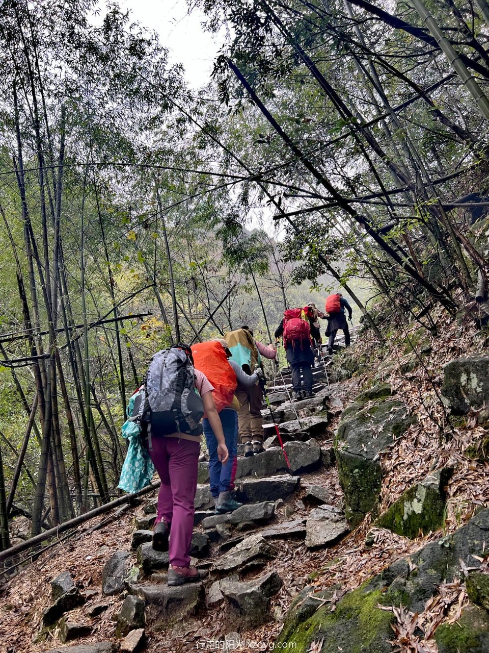 mmexport1698733974670_edit_242416102816134