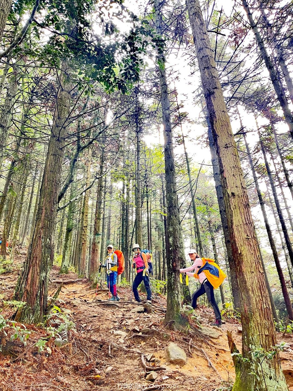 mmexport1698733898360_edit_242437773610923