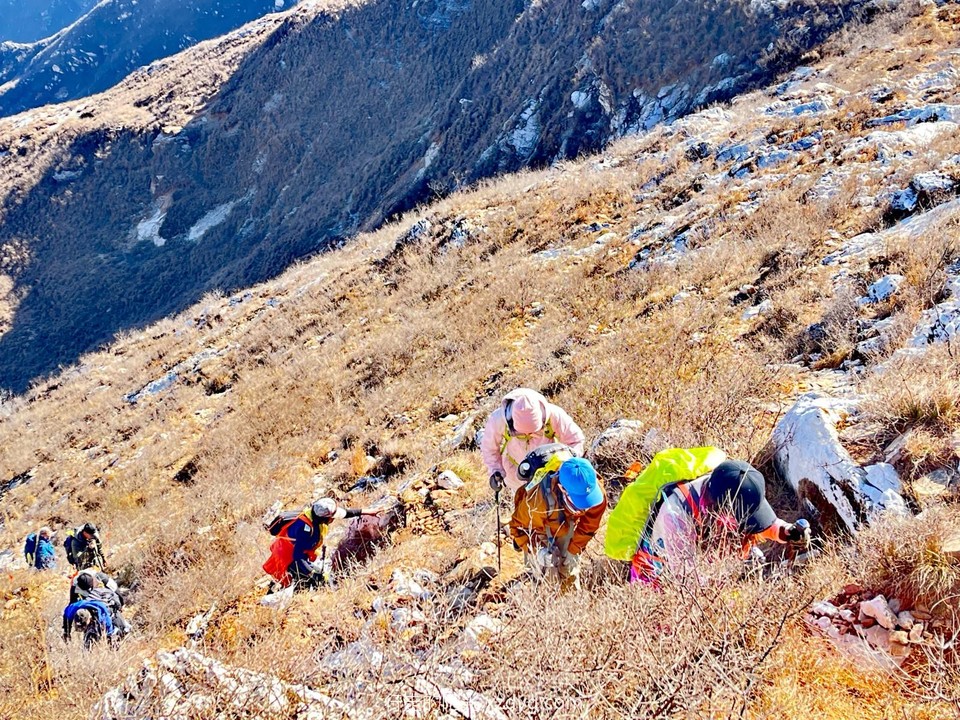 mmexport1701517900247_edit_765534473596207