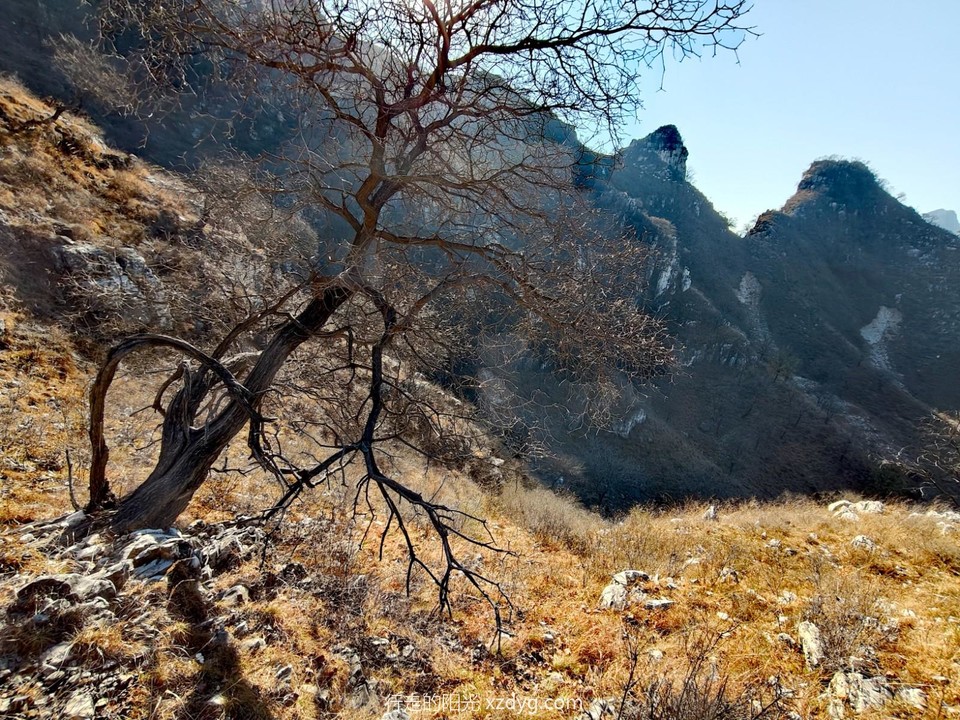 mmexport1701517804149_edit_765561475642037