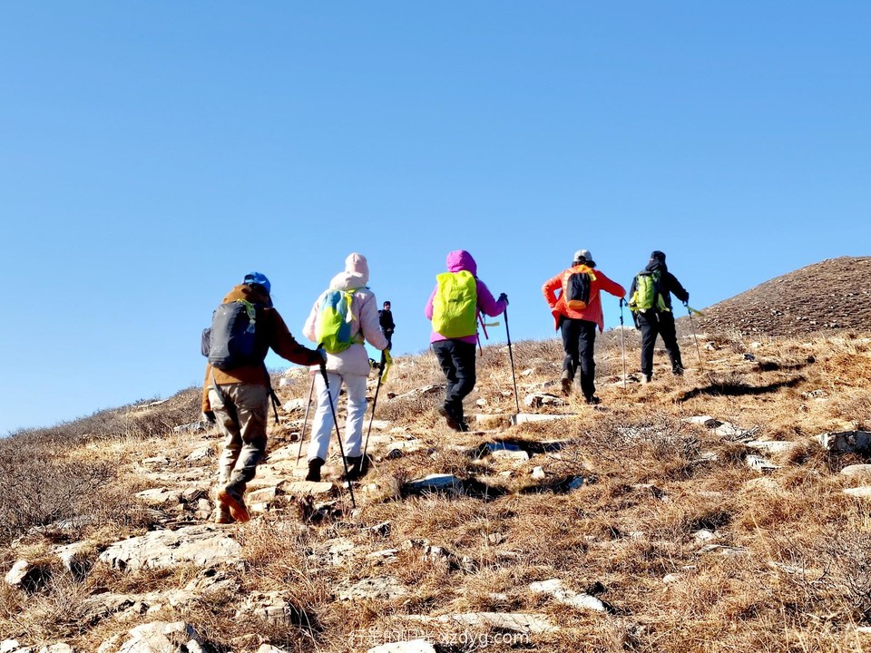 mmexport1701517701749_edit_765577117939951