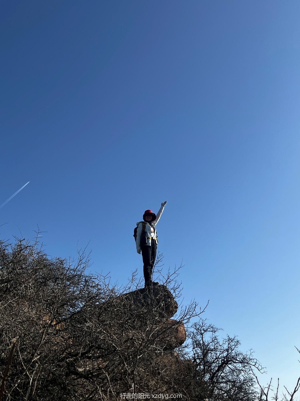 mmexport1702298664839_edit_1162144651632563