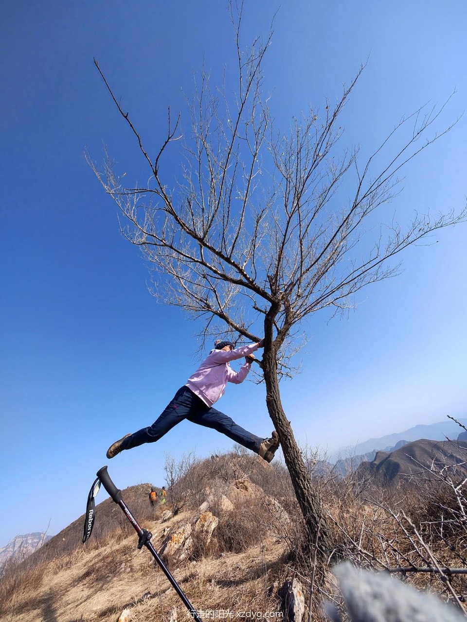 mmexport1702298786459_edit_1162115656802359