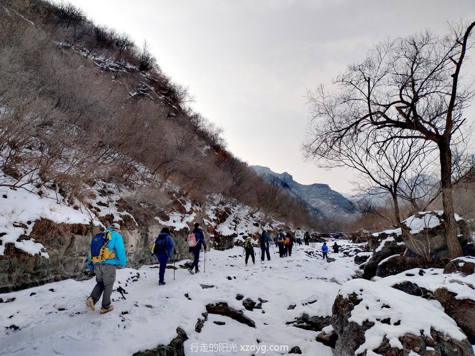 mmexport1703931315192_edit_374185399720505