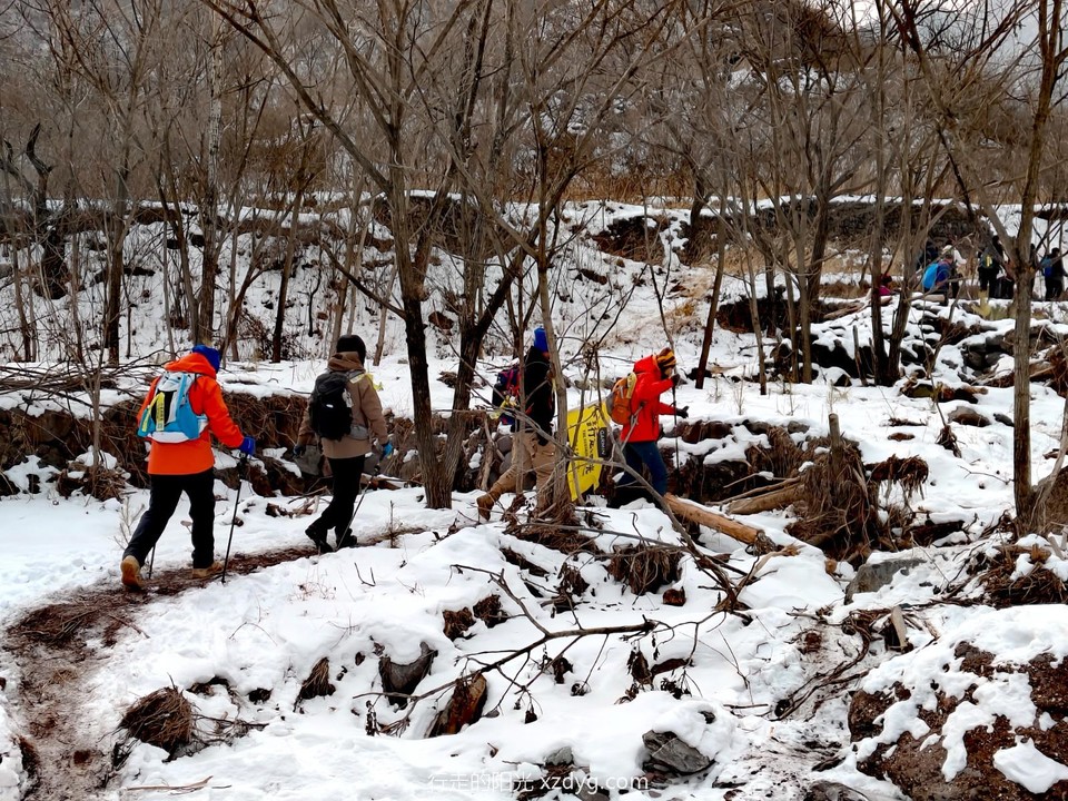 mmexport1703929482023_edit_372249852502050