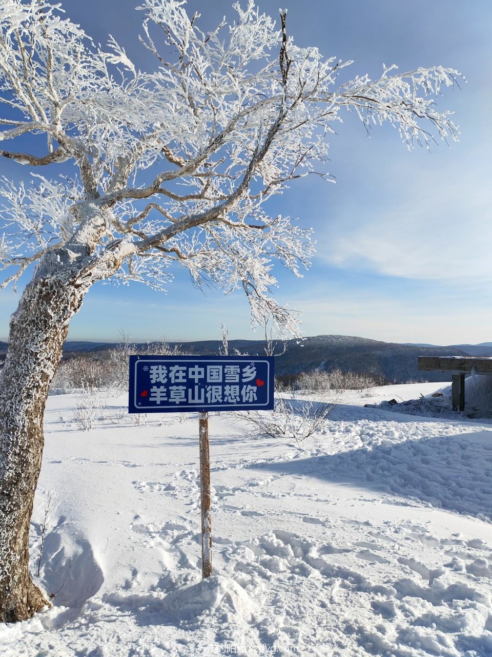 mmexport1705209015690_edit_973276377240025