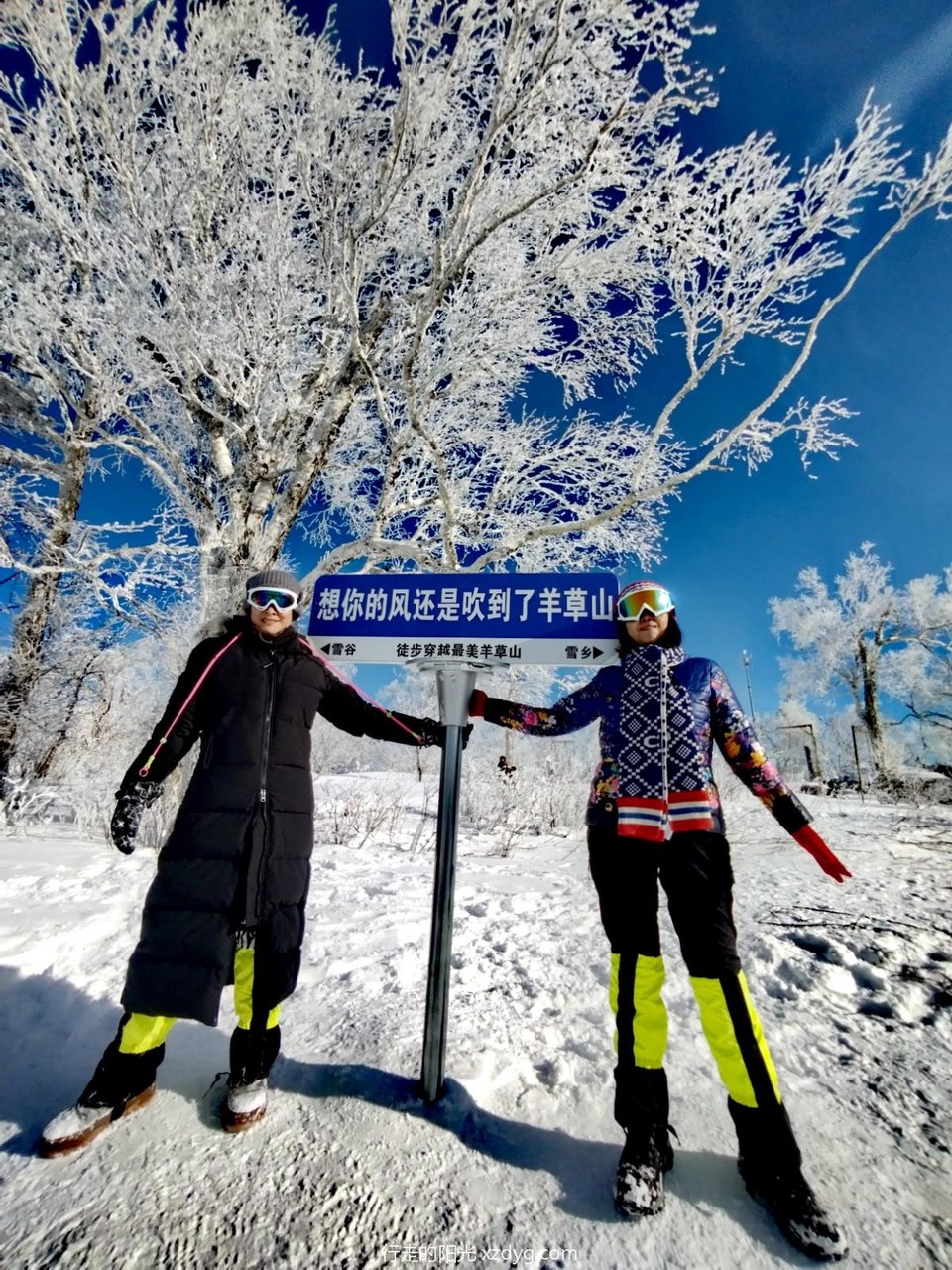 mmexport1705199578617_edit_969214713974499