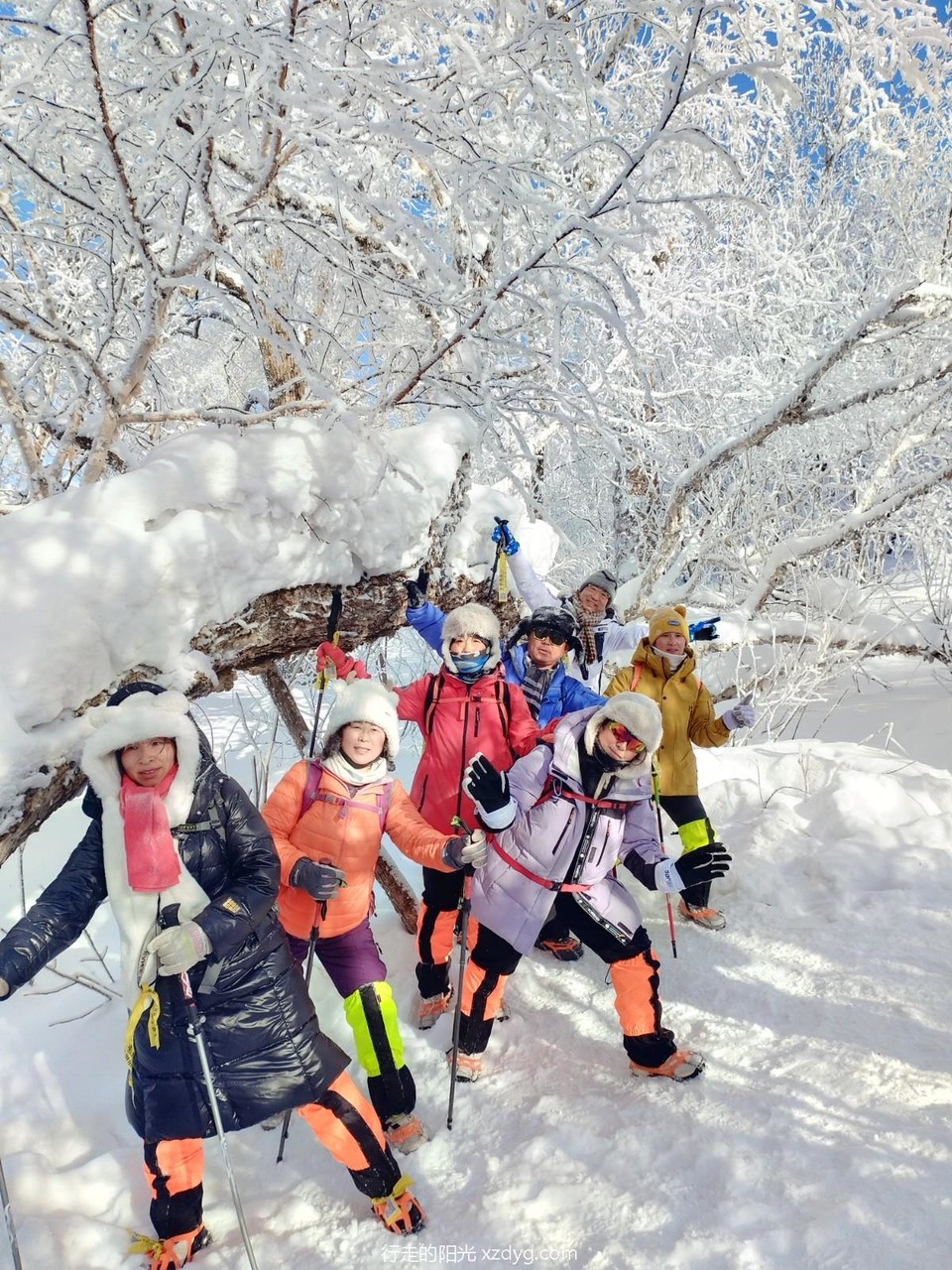 mmexport1705199649295_edit_969162959979195