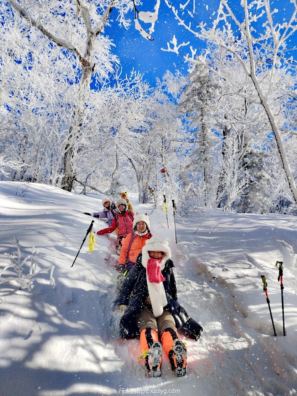 mmexport1705199624794_edit_969183262971900