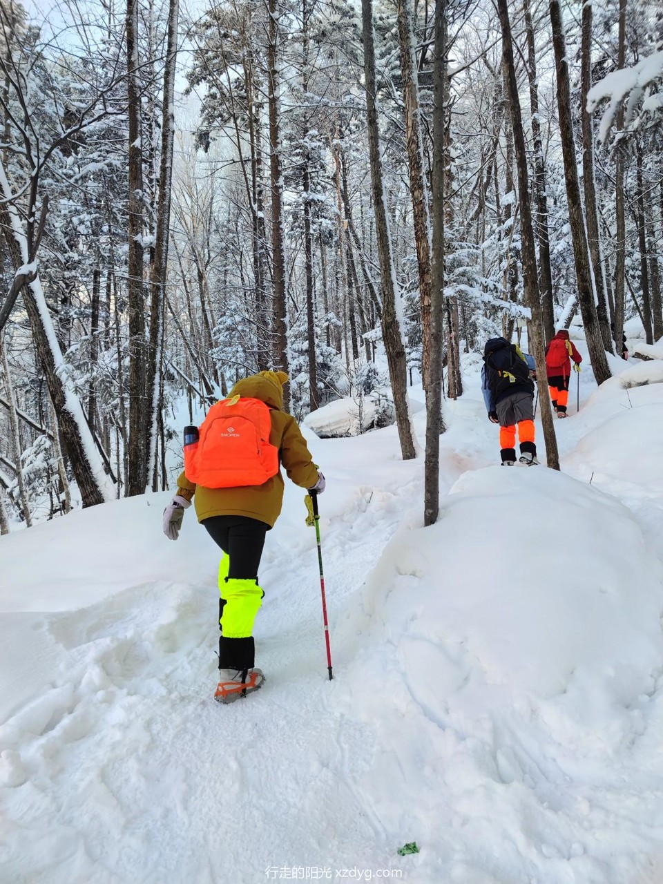 mmexport1705199802775_edit_969122135706284