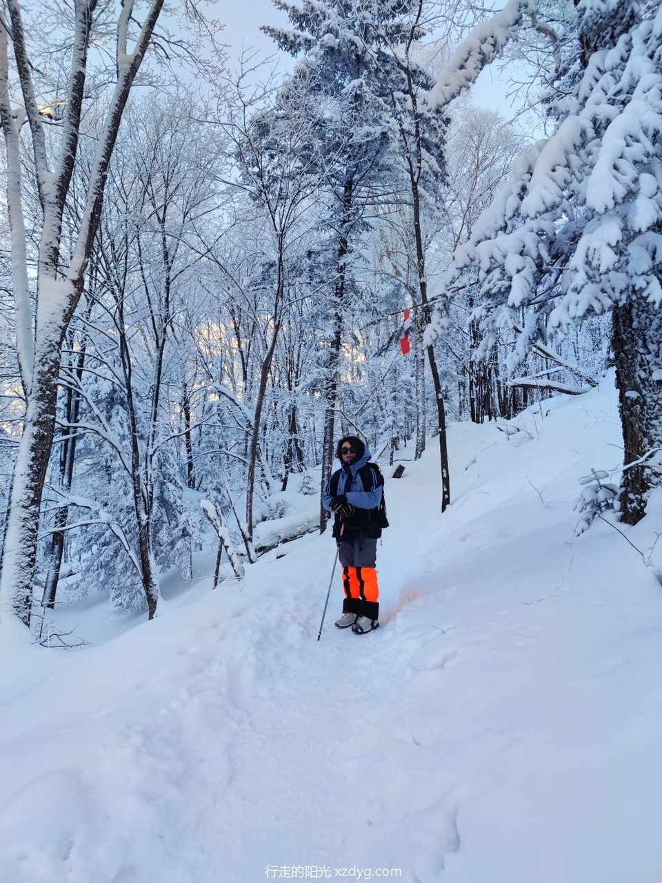 mmexport1705199817484_edit_969105787441183