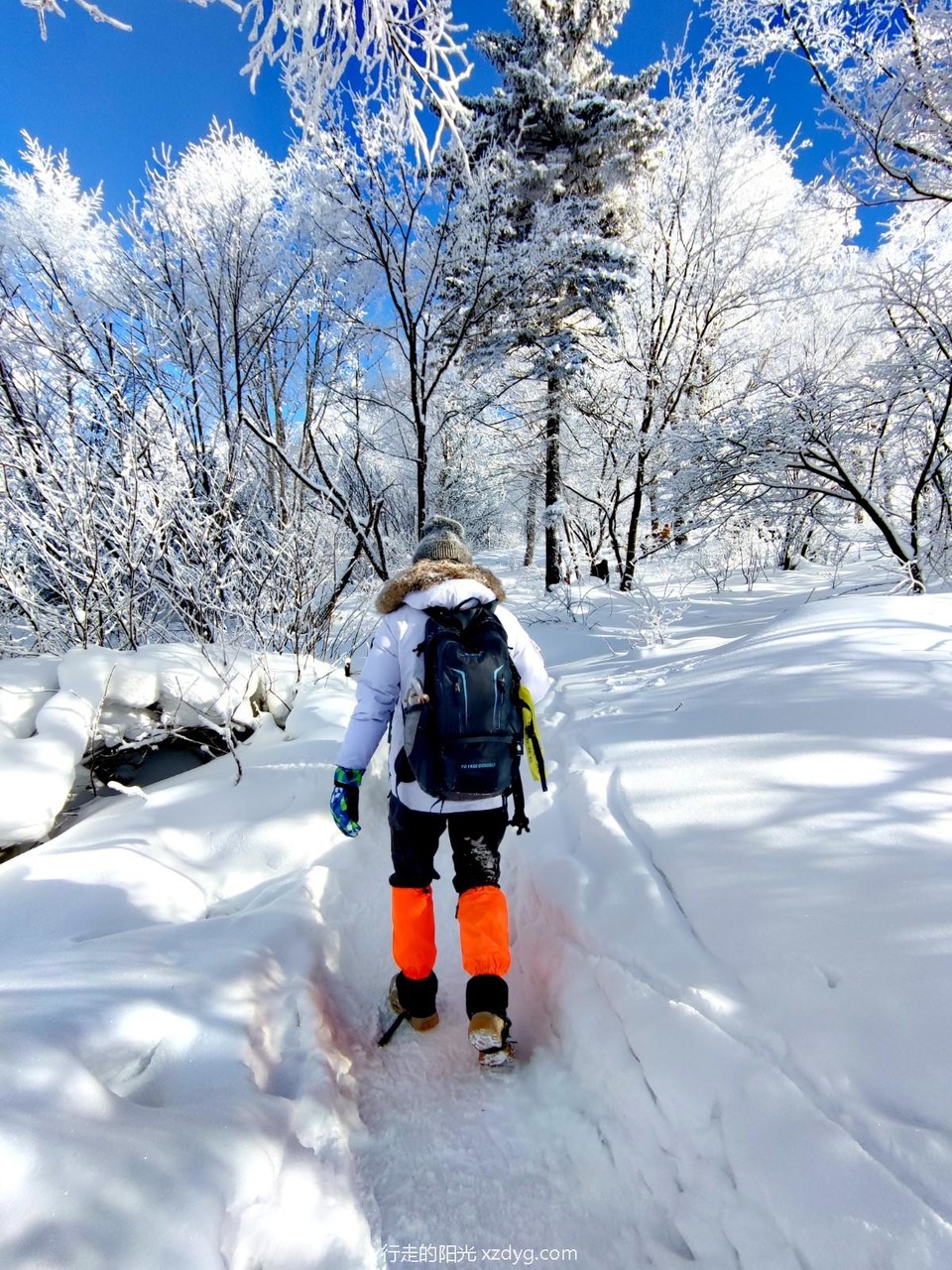 mmexport1705199901031_edit_969055667845878