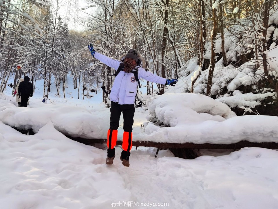 IMG_20240113_085001_edit_948535549649530