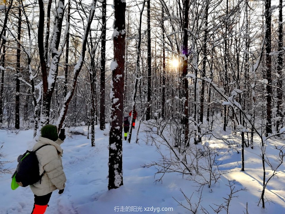 IMG_20240113_084140_edit_948572863185982