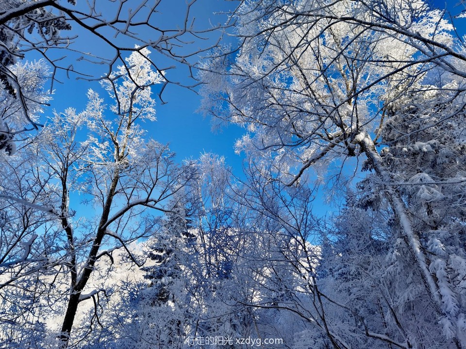 IMG_20240113_102919_edit_948439905978190