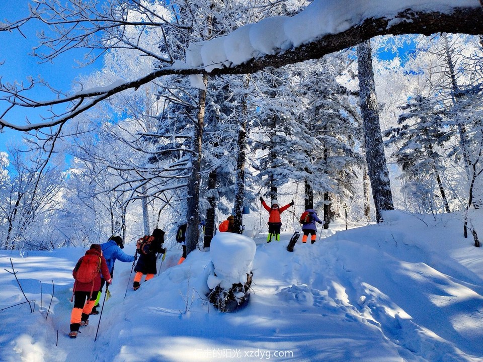 mmexport1705462814149_edit_1115051674162663