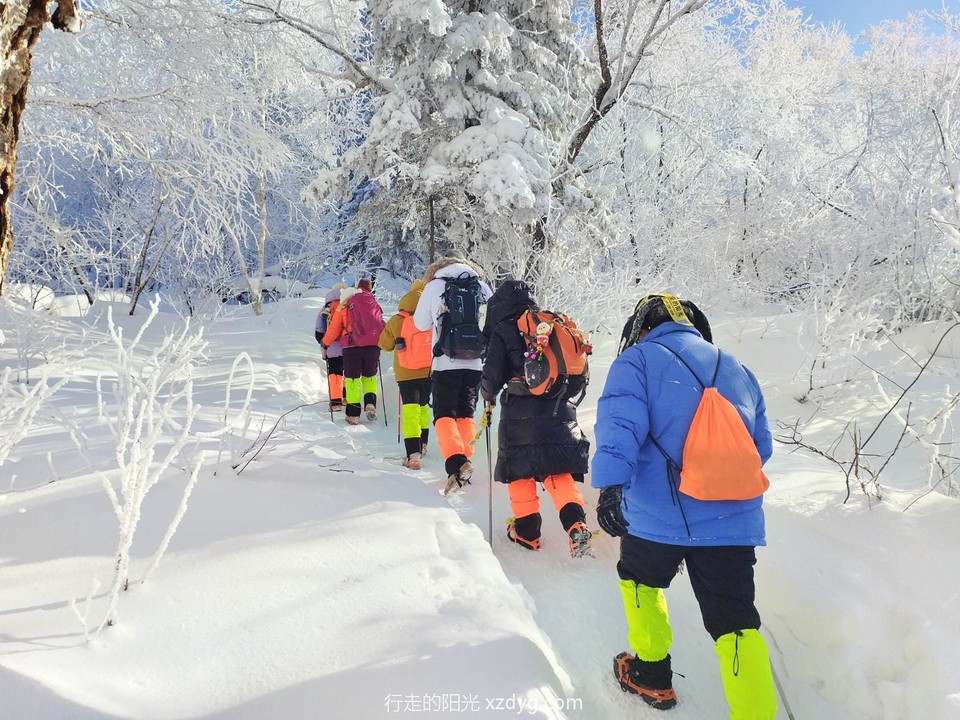 mmexport1705462826632_edit_1115035481569436