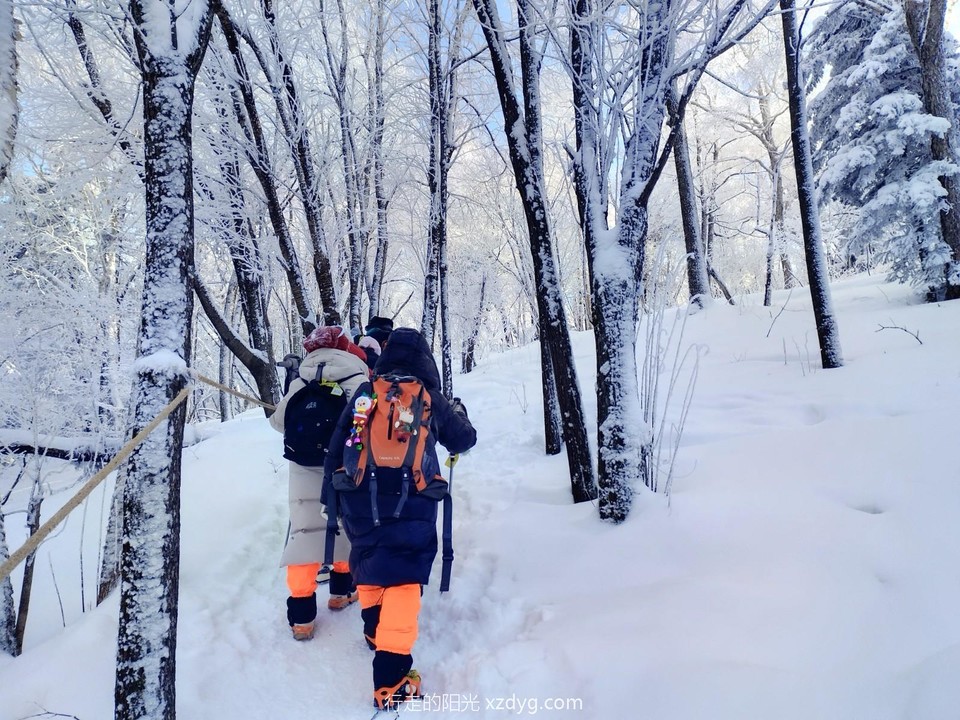 mmexport1705462871874_edit_1114986234043923